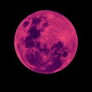 Meet your Posher, Dakare